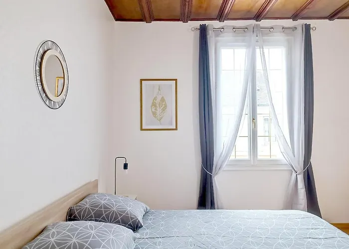 Le Pontchatelain T3 Hypercentre *